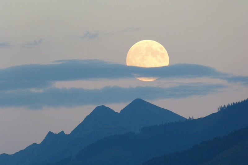 Moonlit Magic